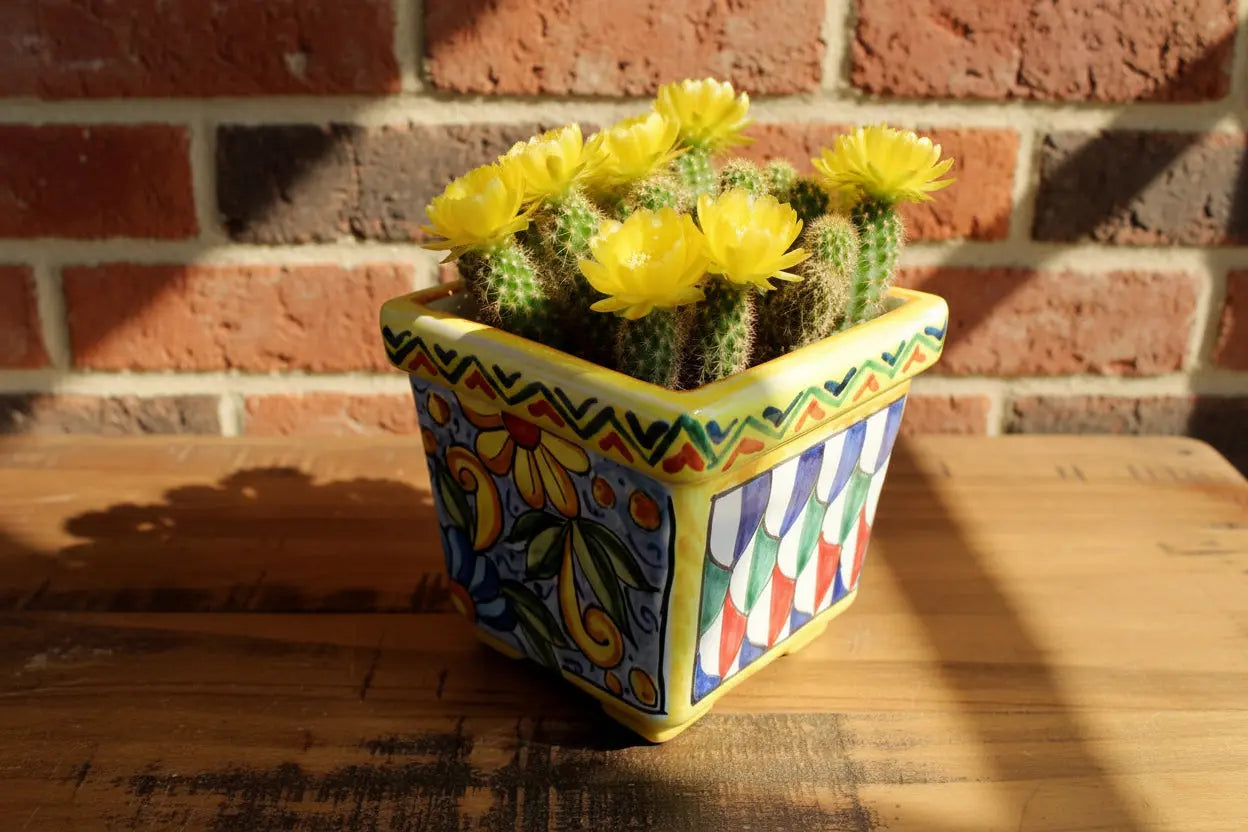 Colorful Decorative square ceramic vase / planter
