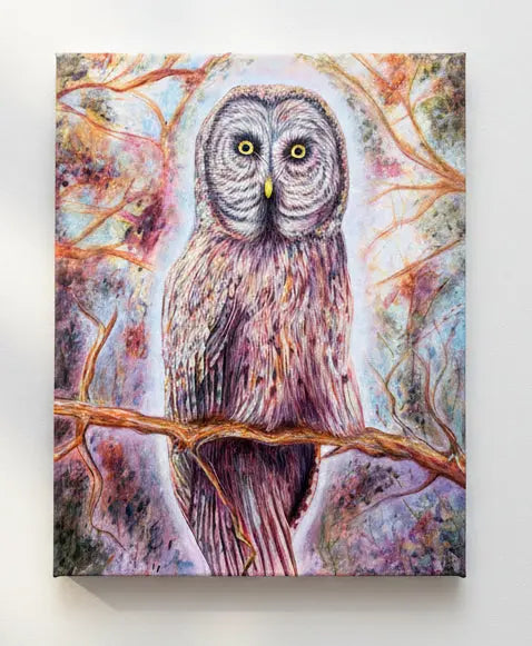 Joshua Bilkis - Owl - Print on Canvas 14x11 Pink Raven Art Gallery