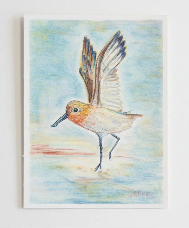 Joshua Bilkis Original - Sandpiper - Pastel on Paper 9x12 (Unframed) Pink Raven Art Gallery